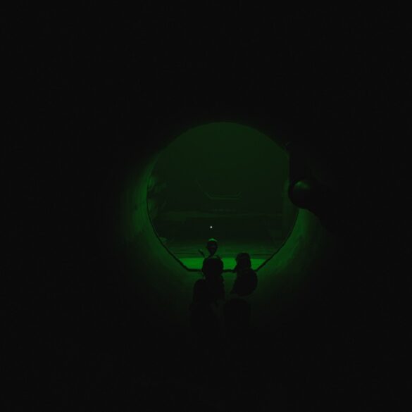 Screenshot aus dem Survival Horror Roleplay Game Vorax
