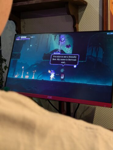 Eine Person spielt das Spiel Constance.